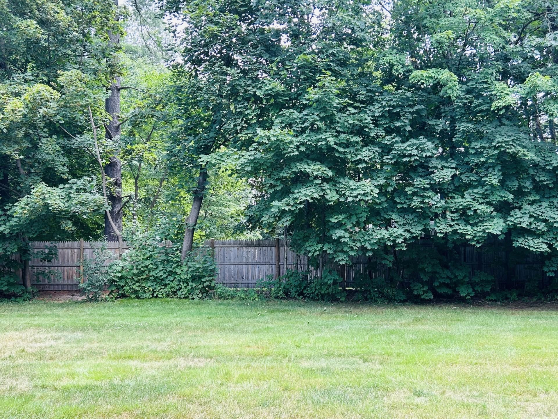 710 Main Street, Unit 4 Keene, NH 03431 - Photo 21 of 23 Gallery Image 21
