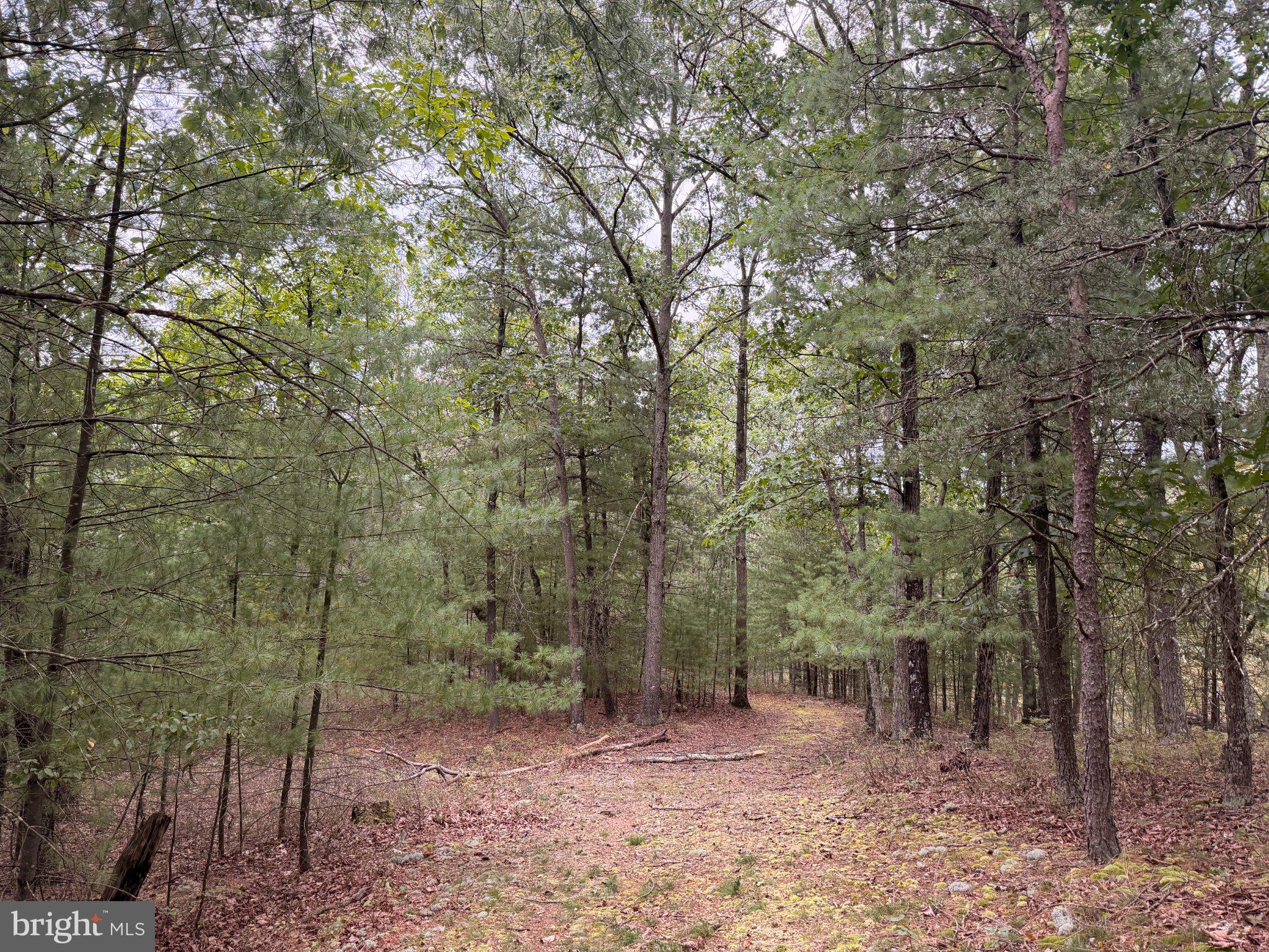 24200 East Hancock Road Flintstone, MD 21530 - Photo 93 of 126 Gallery Image 93