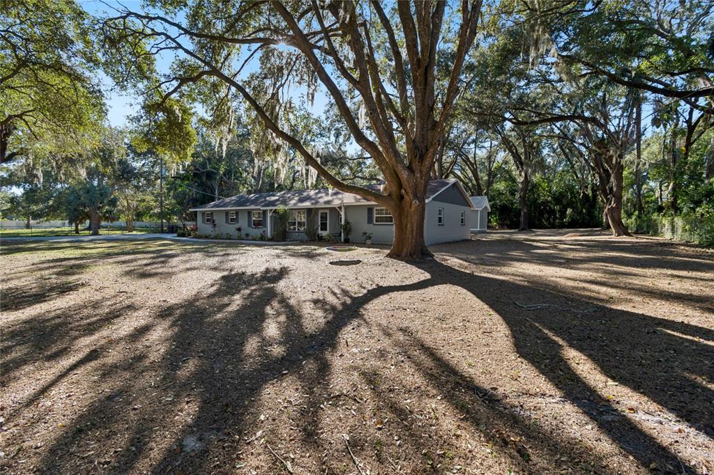 9628 Davis Road Tampa, FL 33637 - Photo 40 of 44