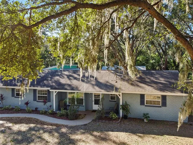 a picture of flowers