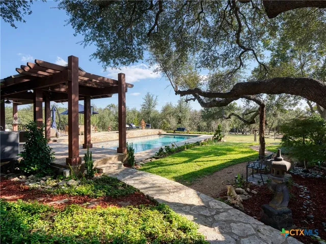 a view of a park with large trees and plants