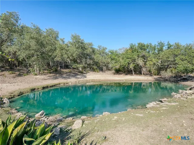 a view of a garden with a tree