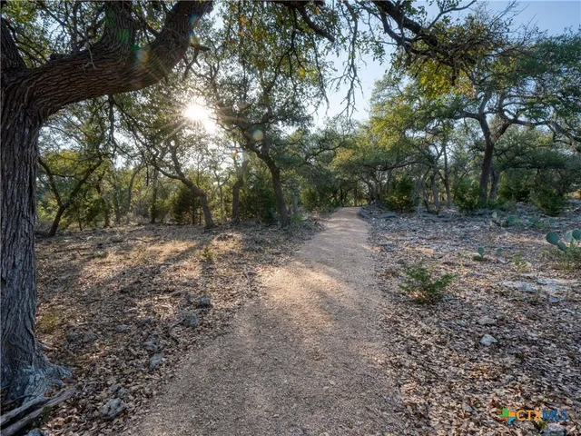 a view of a backyard with large tree