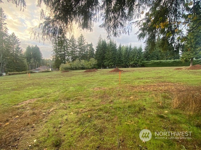 116 Brian Drive Chehalis, WA 98532 - Photo 3 of 9 Gallery Image 3