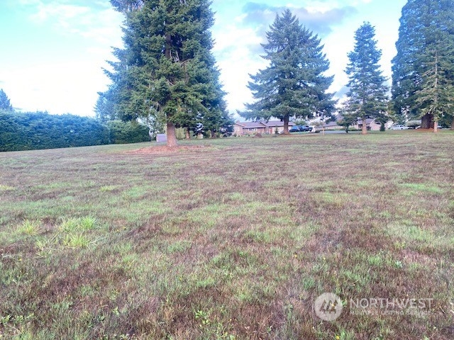 116 Brian Drive Chehalis, WA 98532 - Photo 4 of 9 Gallery Image 4