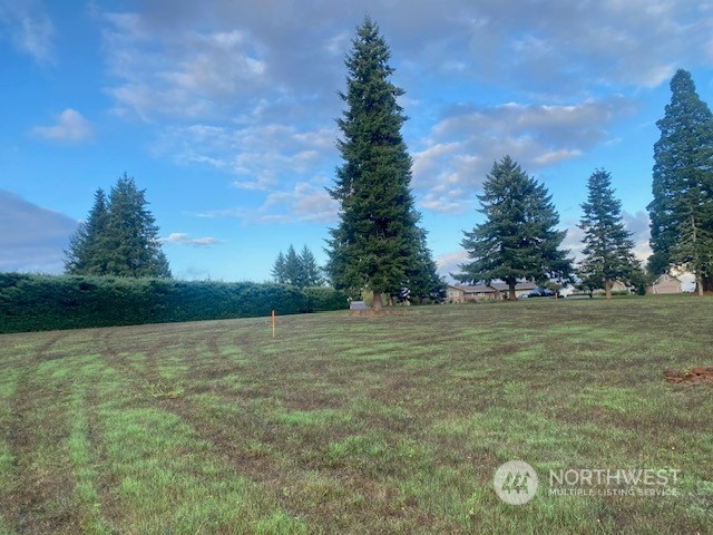 116 Brian Drive Chehalis, WA 98532 - Photo 8 of 9 Gallery Image 8
