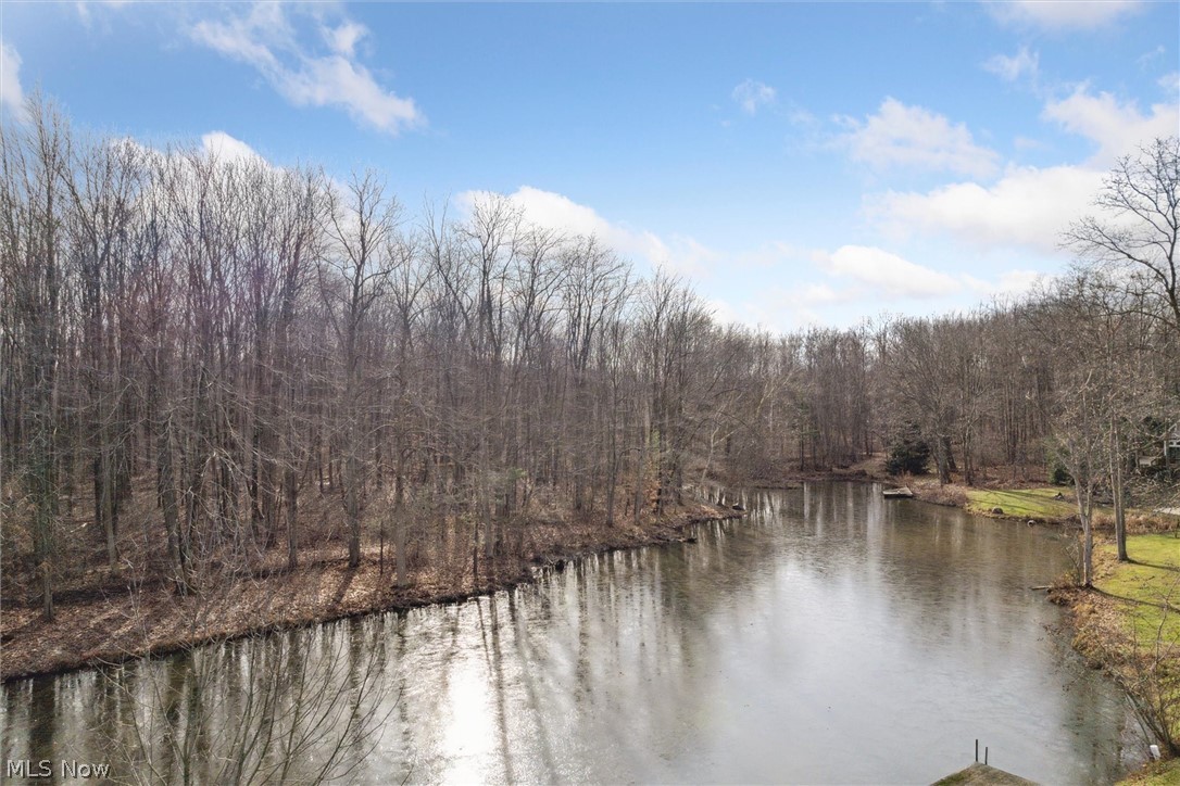 8085 Proctor Road Painesville, OH 44077 - Photo 4 of 35