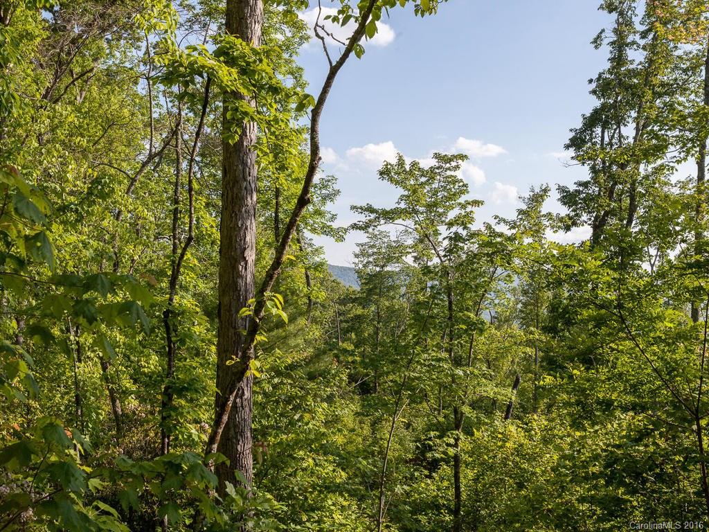 310 Lower Loop Drive Fletcher, NC 28732 - Photo 21 of 24 Gallery Image 21