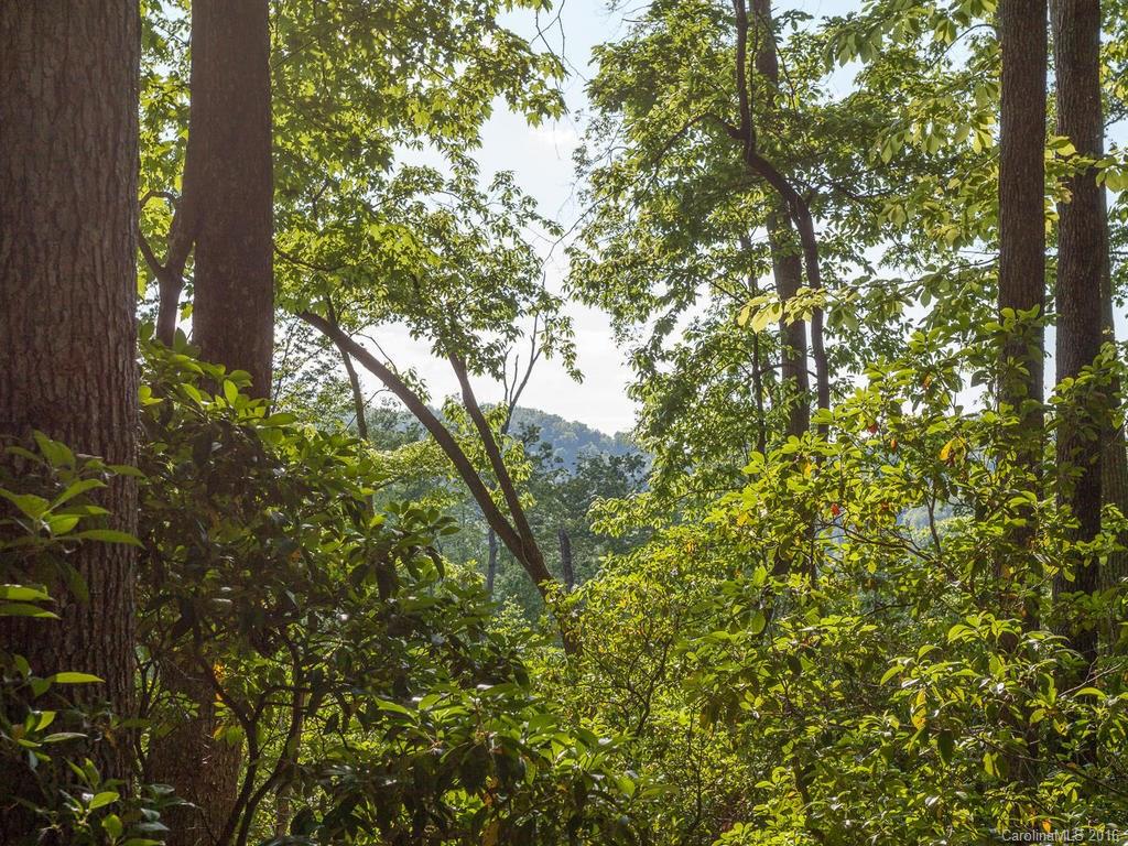 310 Lower Loop Drive Fletcher, NC 28732 - Photo 22 of 24 Gallery Image 22