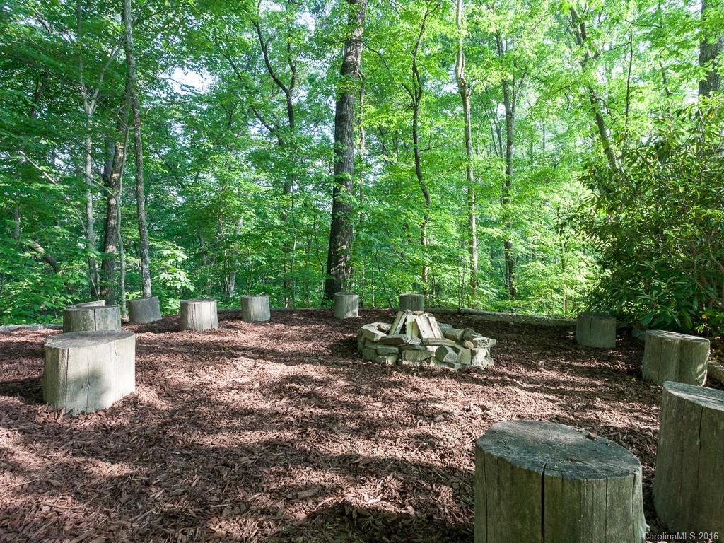 310 Lower Loop Drive Fletcher, NC 28732 - Photo 23 of 24 Gallery Image 23