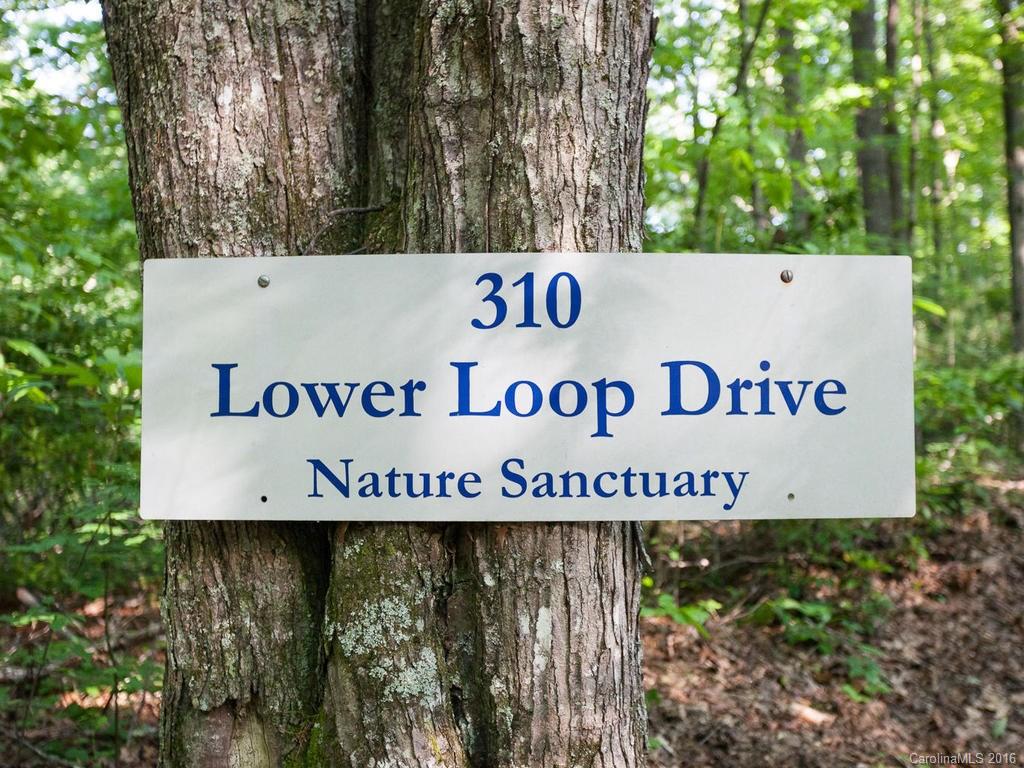 310 Lower Loop Drive Fletcher, NC 28732 - Photo 24 of 24 Gallery Image 24