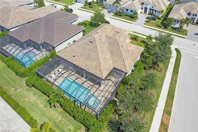 a view of a ocean with a palm tree and ocean view