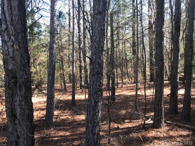 2099 South Potter Road Lancaster, SC 29720 - Photo 8 of 22