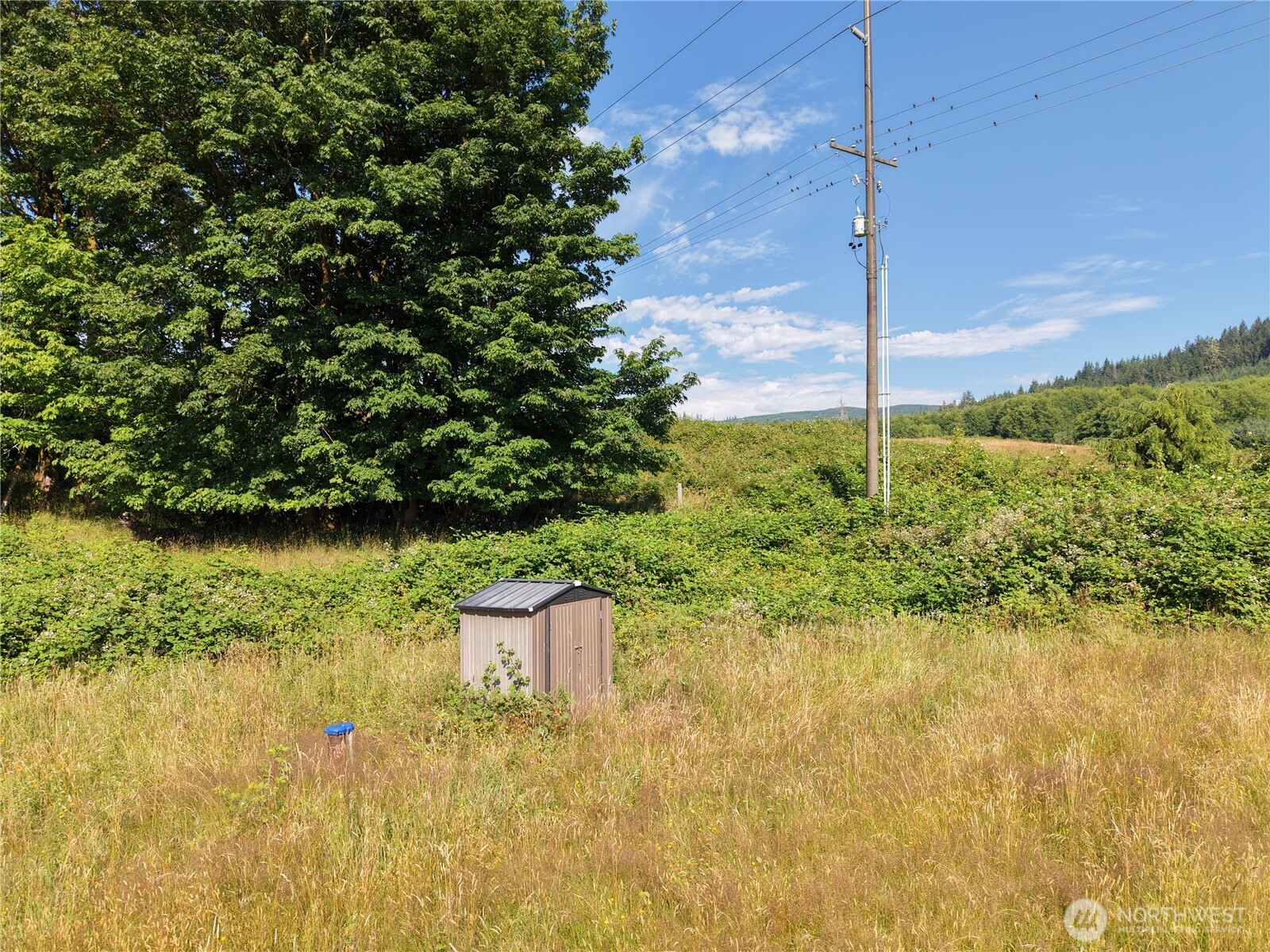 134 Dancing Elk Road Beaver, WA 98305 - Photo 6 of 14 Gallery Image 6