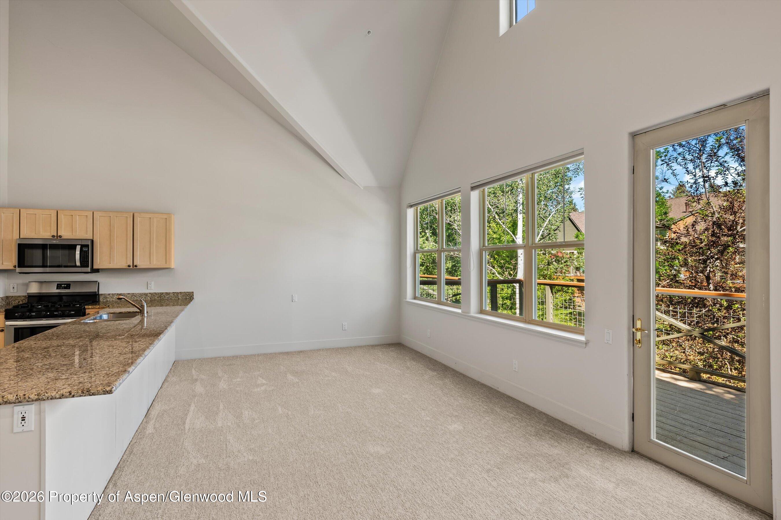 711 Evans Court Basalt, CO 81621 - Photo 11 of 31 23-711EvansCt_26061923