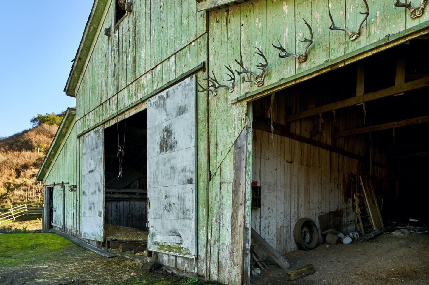 3225 Pomponio Creek Road San Gregorio, CA 94074 - Photo 12 of 50 a view of a bird bath