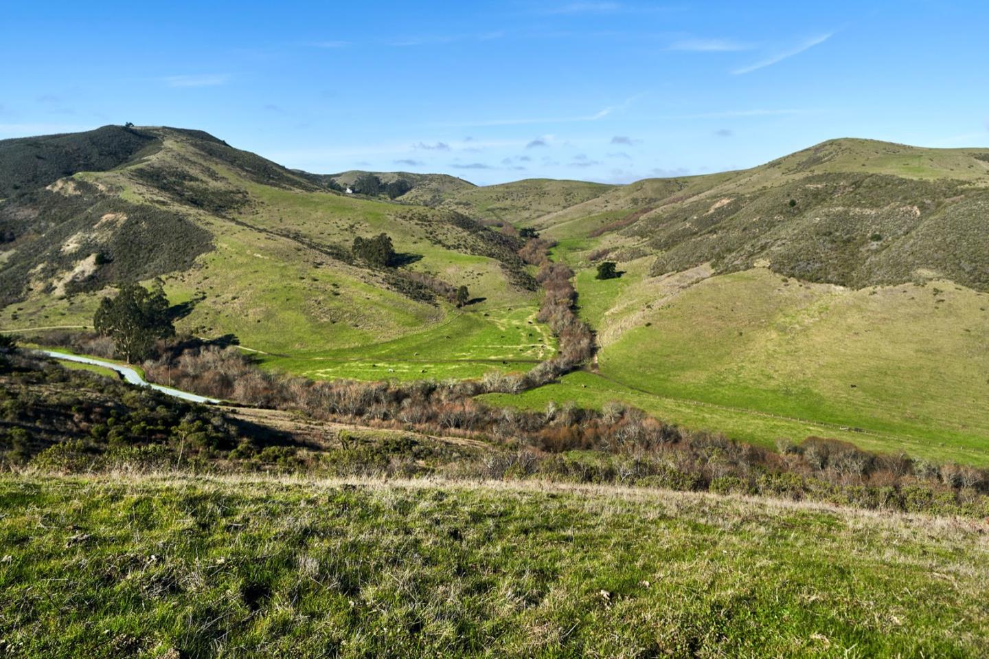 3225 Pomponio Creek Road San Gregorio, CA 94074 - Photo 14 of 50 a view of a mountain range with a lush green hillside