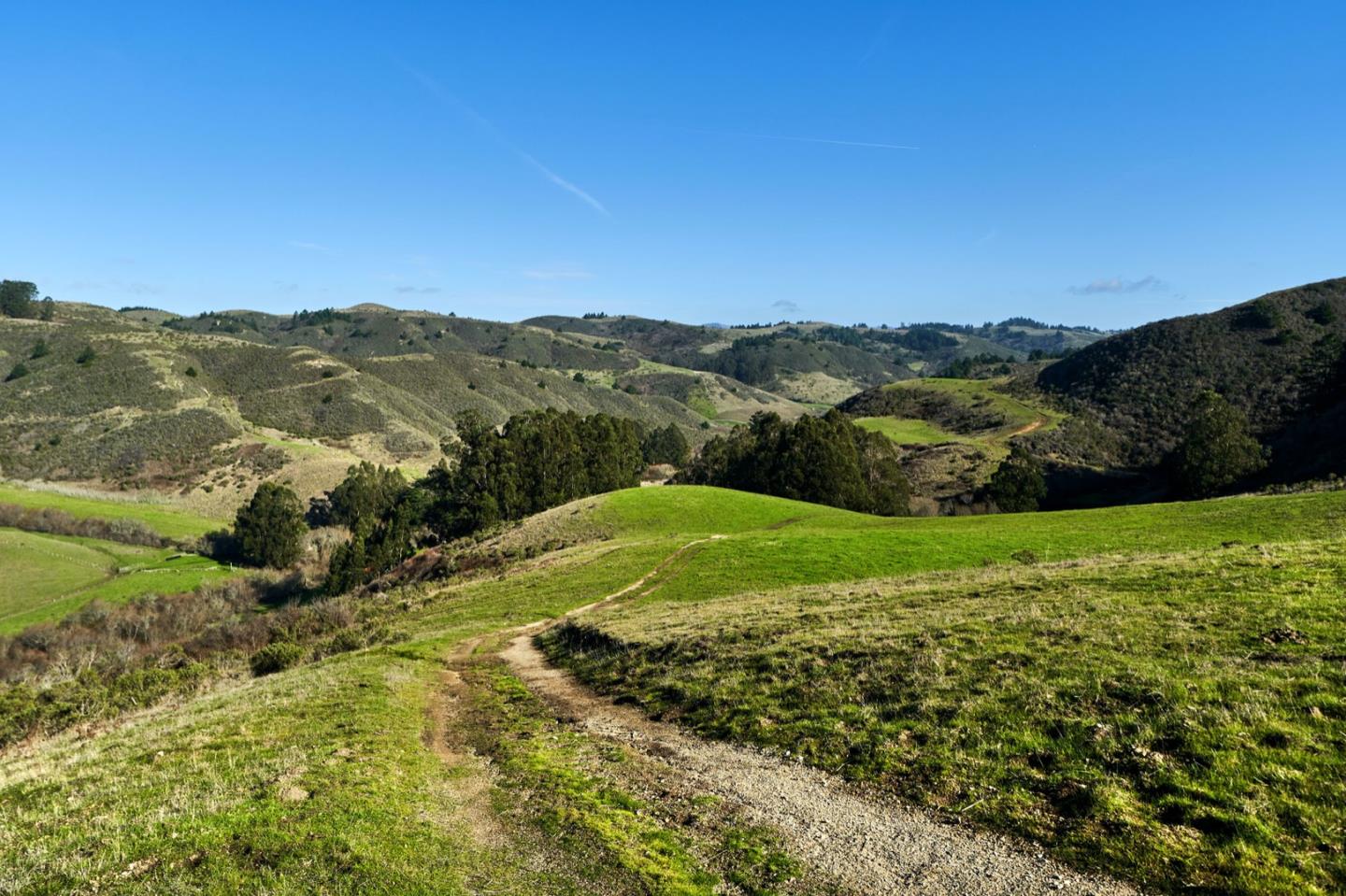 3225 Pomponio Creek Road San Gregorio, CA 94074 - Photo 15 of 50 a view of a grassy field with mountains in the background
