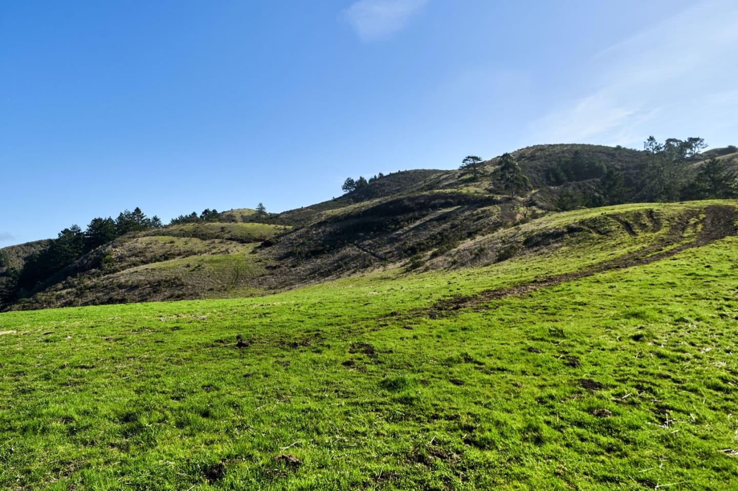 3225 Pomponio Creek Road San Gregorio, CA 94074 - Photo 18 of 50 a view of a lush green space with sea