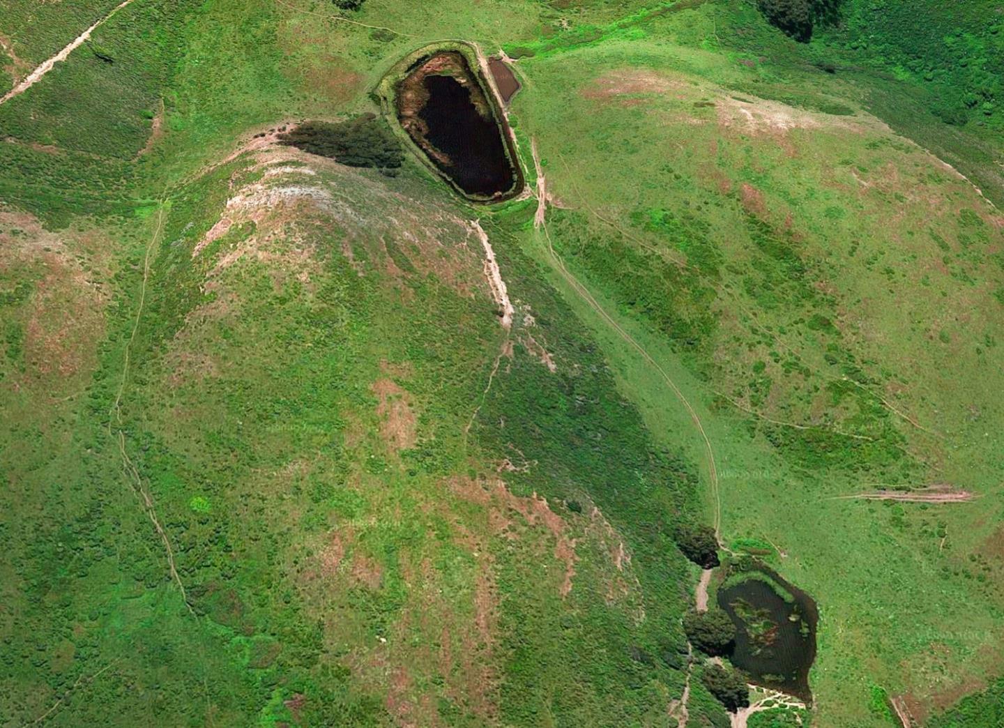 3225 Pomponio Creek Road San Gregorio, CA 94074 - Photo 20 of 50 a backyard of a house with lots of green space and plants