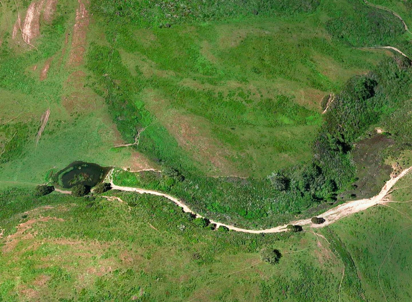 3225 Pomponio Creek Road San Gregorio, CA 94074 - Photo 21 of 50 a view of a lush green space