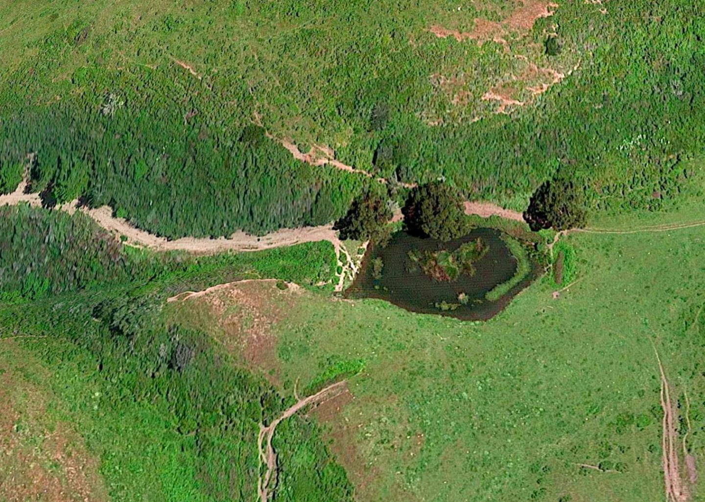 3225 Pomponio Creek Road San Gregorio, CA 94074 - Photo 22 of 50 a green field with lots of bushes