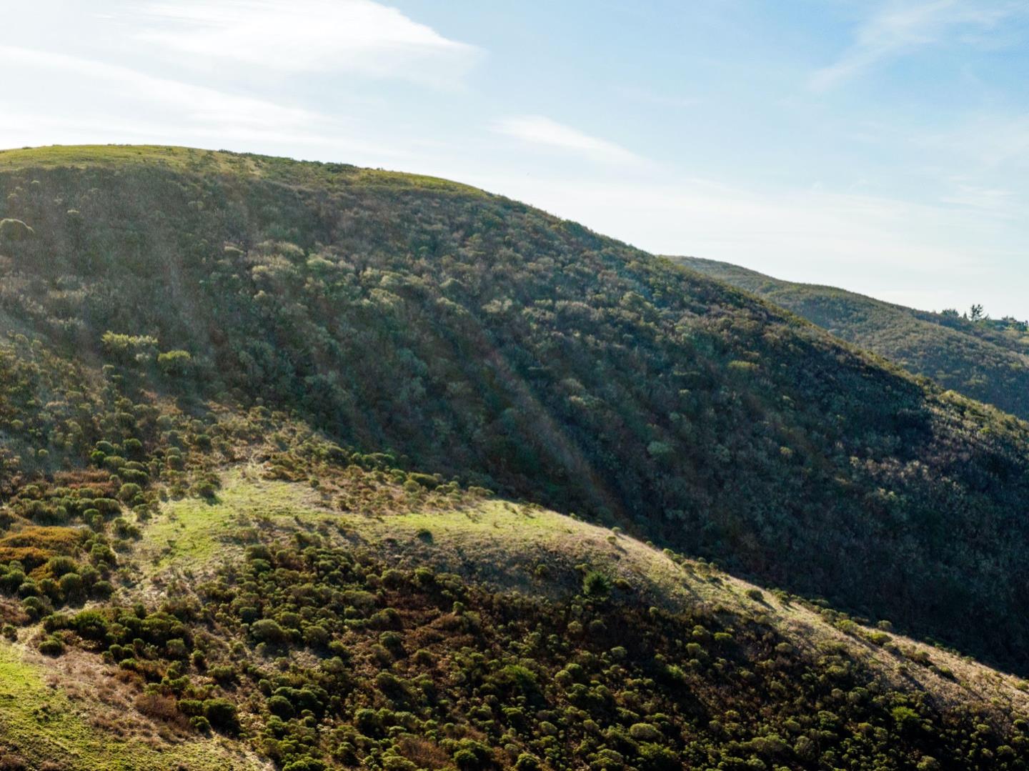 3225 Pomponio Creek Road San Gregorio, CA 94074 - Photo 27 of 50 a view of a yard