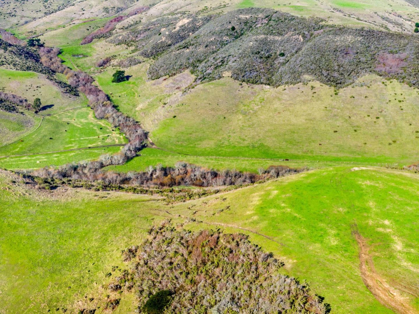 3225 Pomponio Creek Road San Gregorio, CA 94074 - Photo 29 of 50 a view of a yard with an ocean