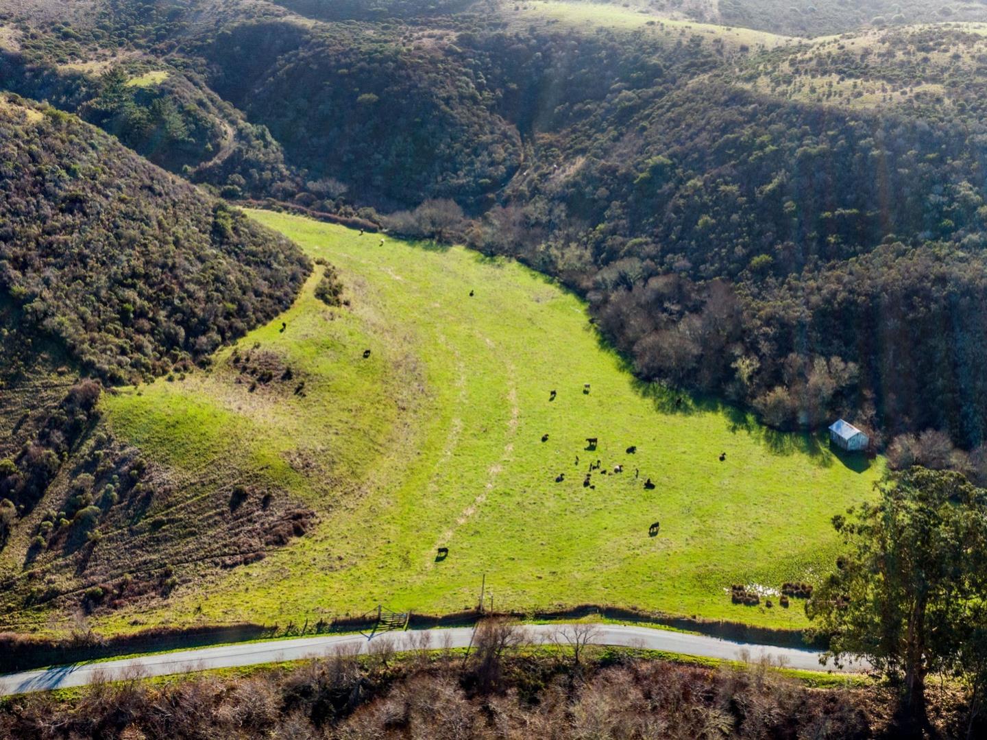 3225 Pomponio Creek Road San Gregorio, CA 94074 - Photo 42 of 50 a view of a water fountain