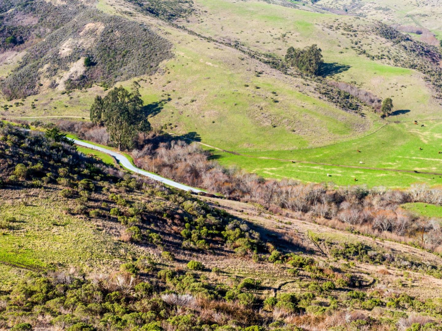 3225 Pomponio Creek Road San Gregorio, CA 94074 - Photo 46 of 50 a view of a yard with a mountain view in ocean