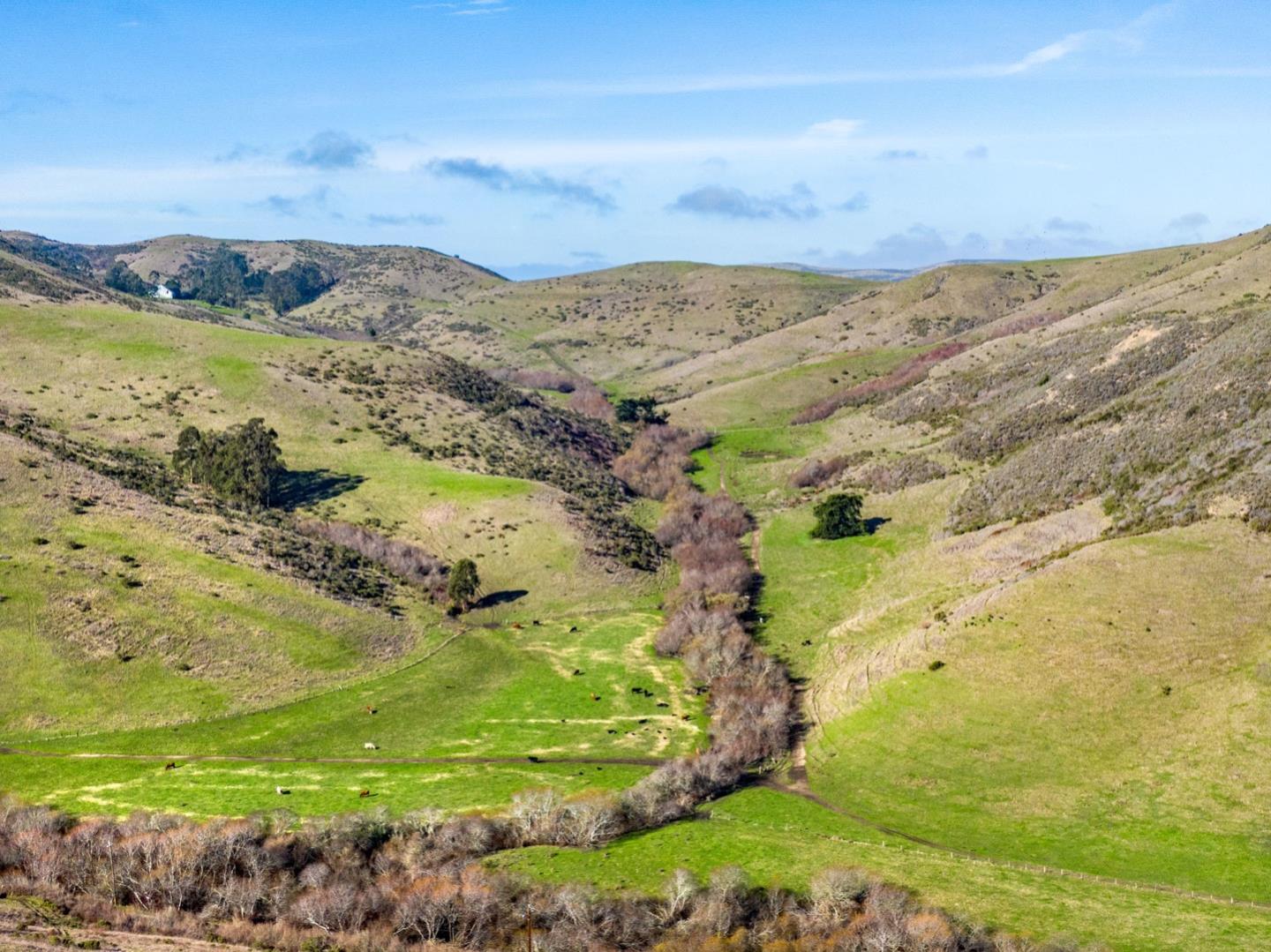 3225 Pomponio Creek Road San Gregorio, CA 94074 - Photo 49 of 50 a view of a mountain