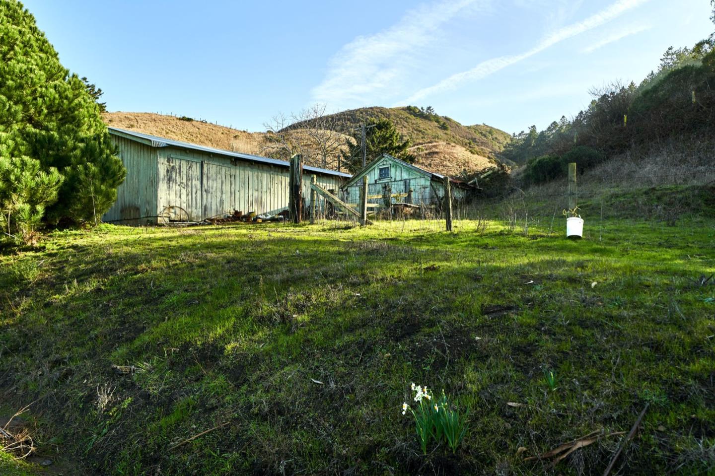 3225 Pomponio Creek Road San Gregorio, CA 94074 - Photo 7 of 50 a view of a big yard next to a house
