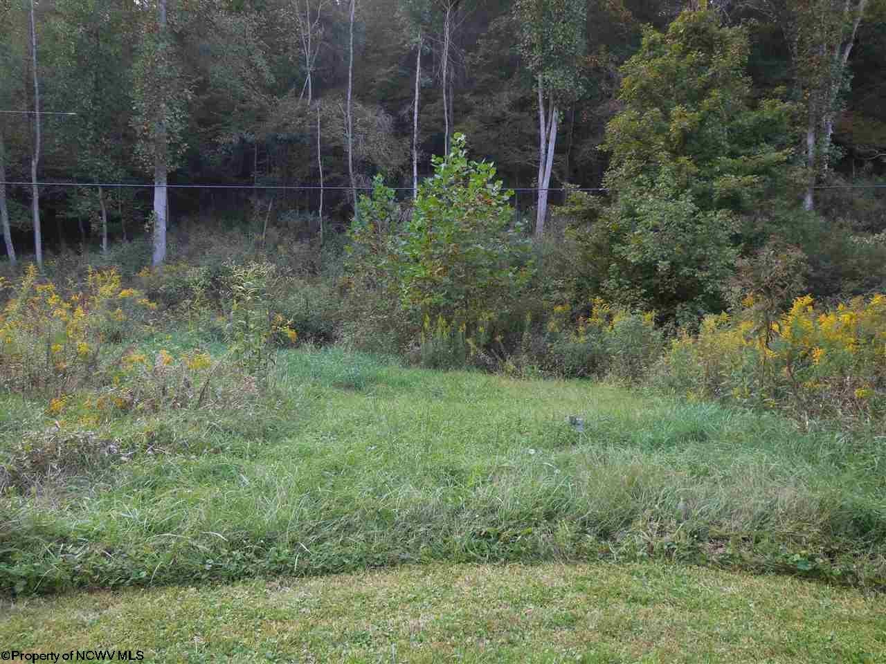 347 Dudley Fork Road Mannington, WV 26582 - Photo 19 of 20 Gallery Image 19