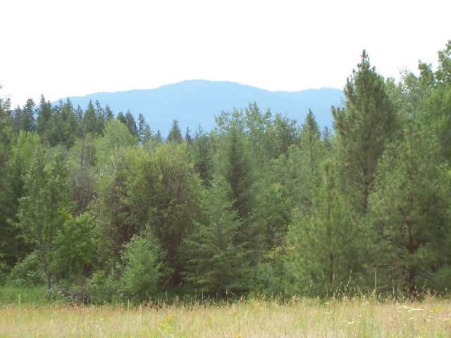 Tbd Old Dominion Rd/lt H Colville, WA 99114 - Photo 1 of 5 Gallery Image 1