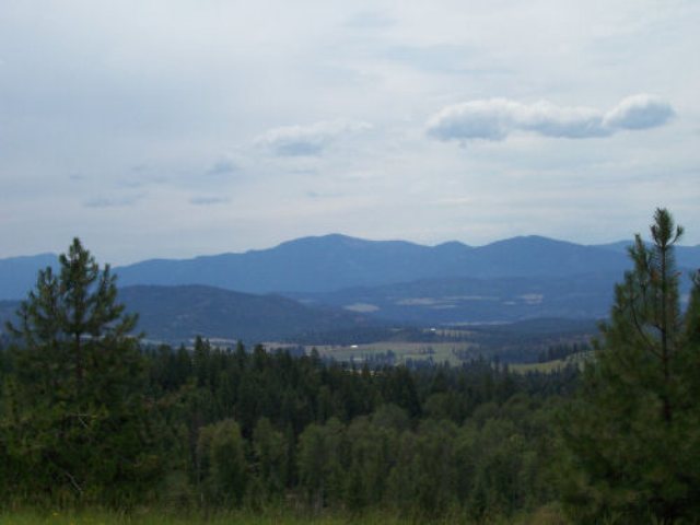 Tbd Old Dominion Rd/lt H Colville, WA 99114 - Photo 2 of 5 Gallery Image 2