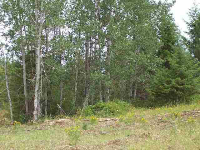 Tbd Old Dominion Rd/lt H Colville, WA 99114 - Photo 5 of 5 Gallery Image 5