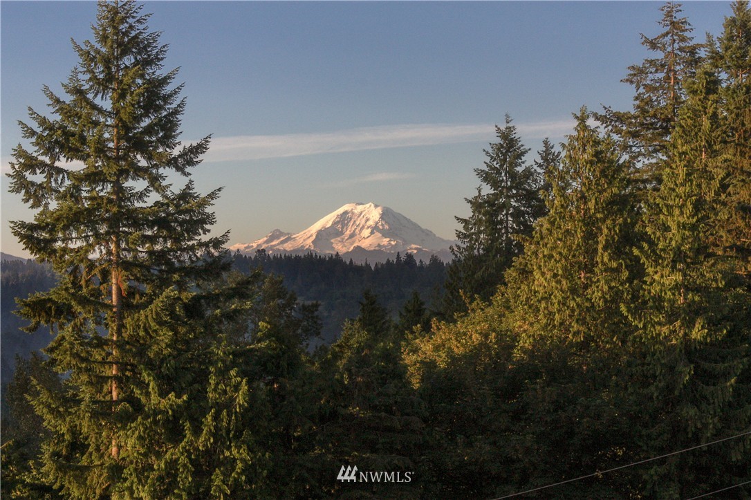 11105 Renton Issaquah Road Southeast Issaquah, WA 98027 - Photo 25 of 25