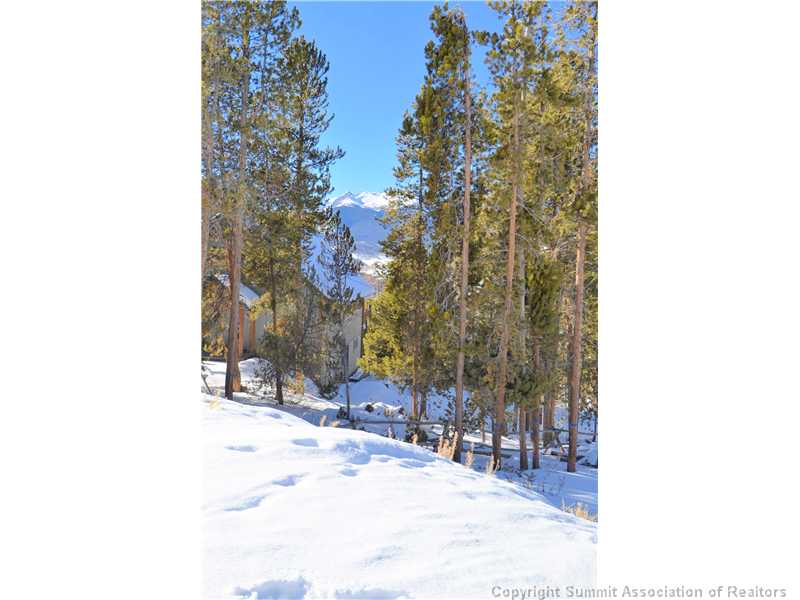 99 Forest Canyon Road Dillon, CO 80435 - Photo 4 of 25 Exterior Front. Located on a quiet street with a private feel.