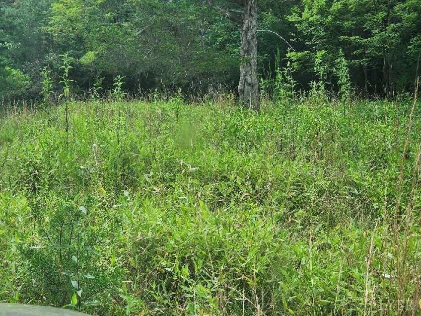 -00 Shiloh Church Road Bedford, VA 24523 - Photo 4 of 6 a view of a lush green forest