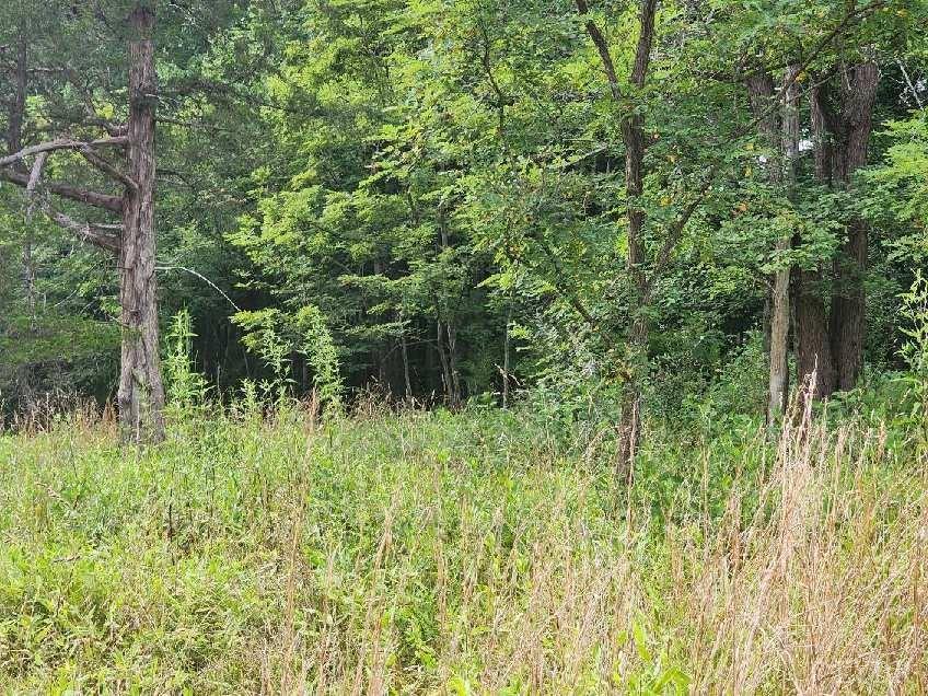 -00 Shiloh Church Road Bedford, VA 24523 - Photo 6 of 6 a view of a lush green space