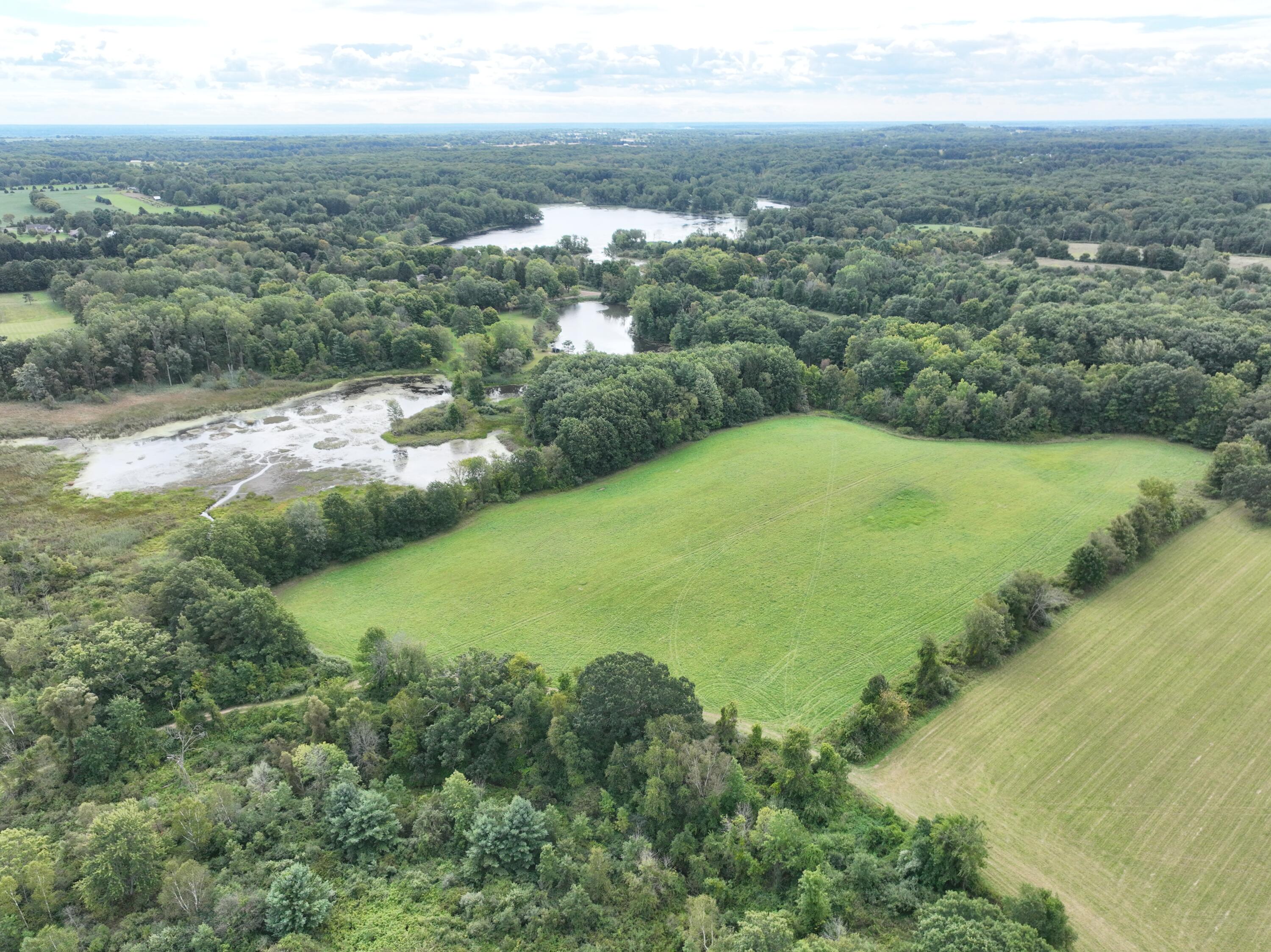Tbd Tbd Bordman Road, Unit TBD Leonard, MI 48367 - Photo 11 of 40 J6