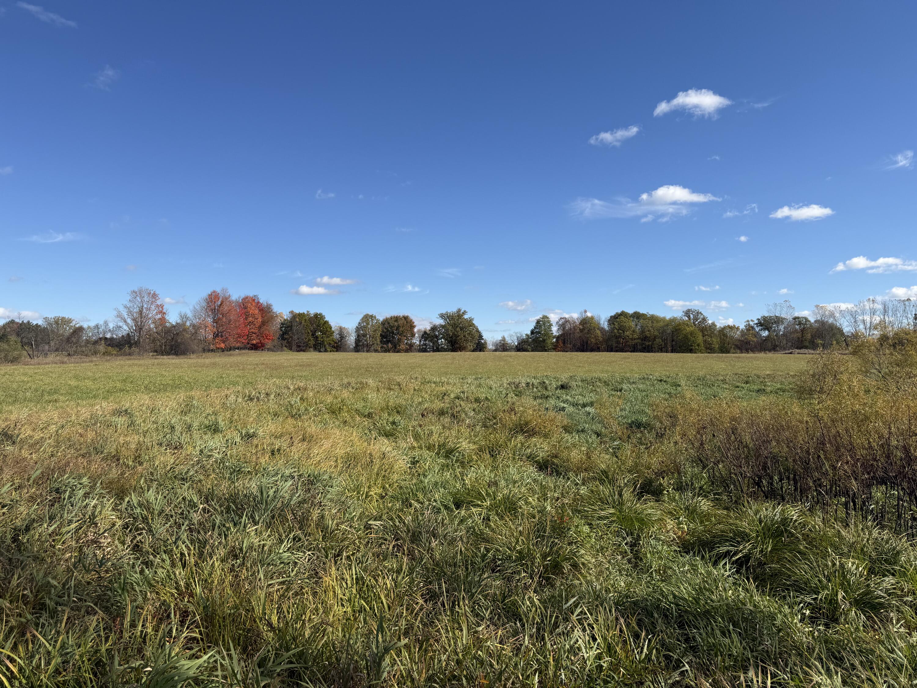 Tbd Tbd Bordman Road, Unit TBD Leonard, MI 48367 - Photo 12 of 32 4b