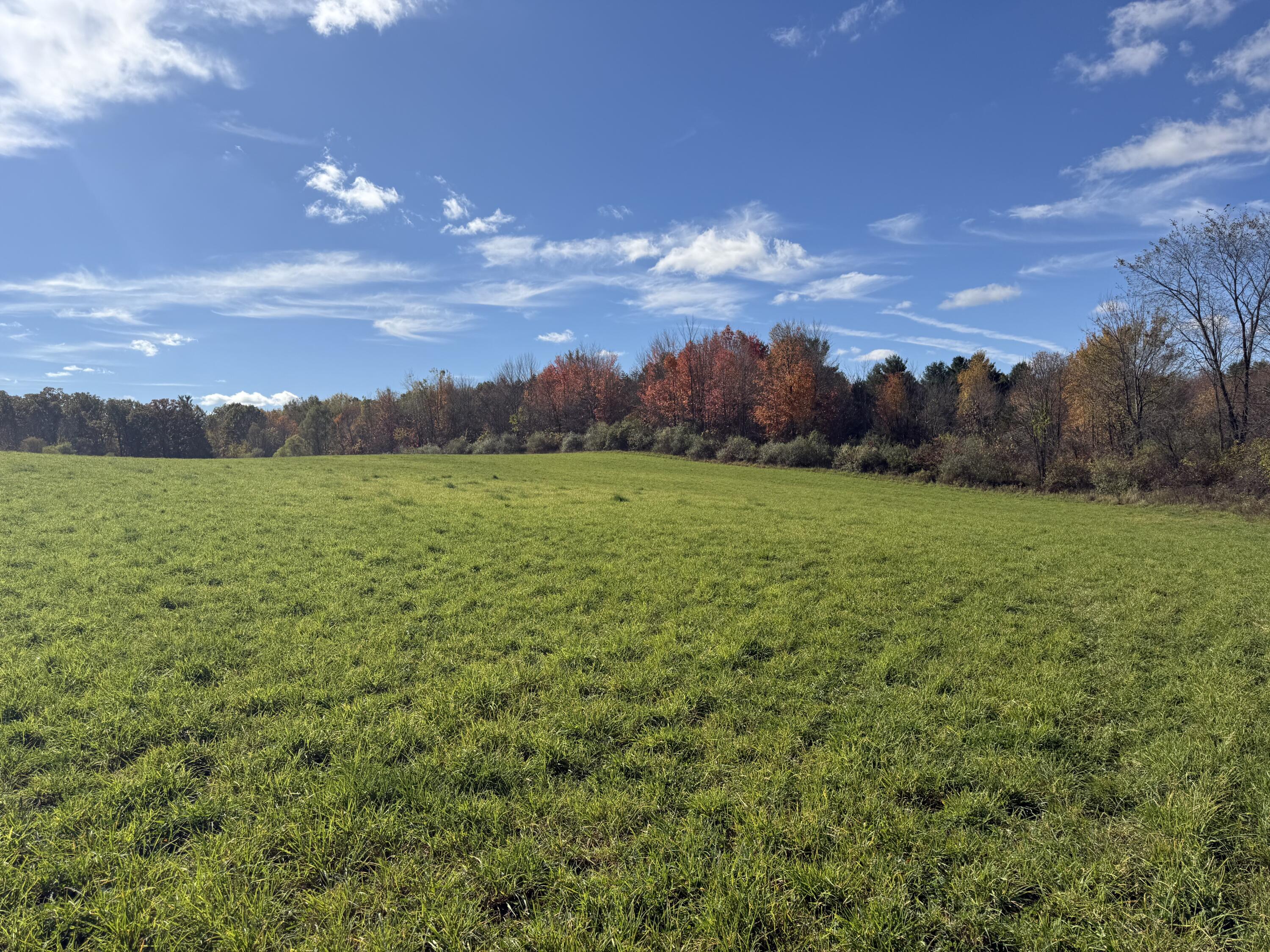 Tbd Tbd Bordman Road, Unit TBD Leonard, MI 48367 - Photo 15 of 32 2b
