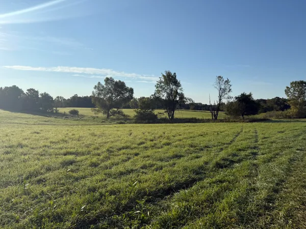 $949,999 | Tbd Tbd Bordman Road, Unit TBD, Leonard, MI 48367