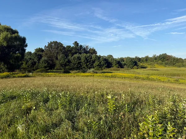 $949,999 | Tbd Tbd Bordman Road, Unit TBD, Leonard, MI 48367