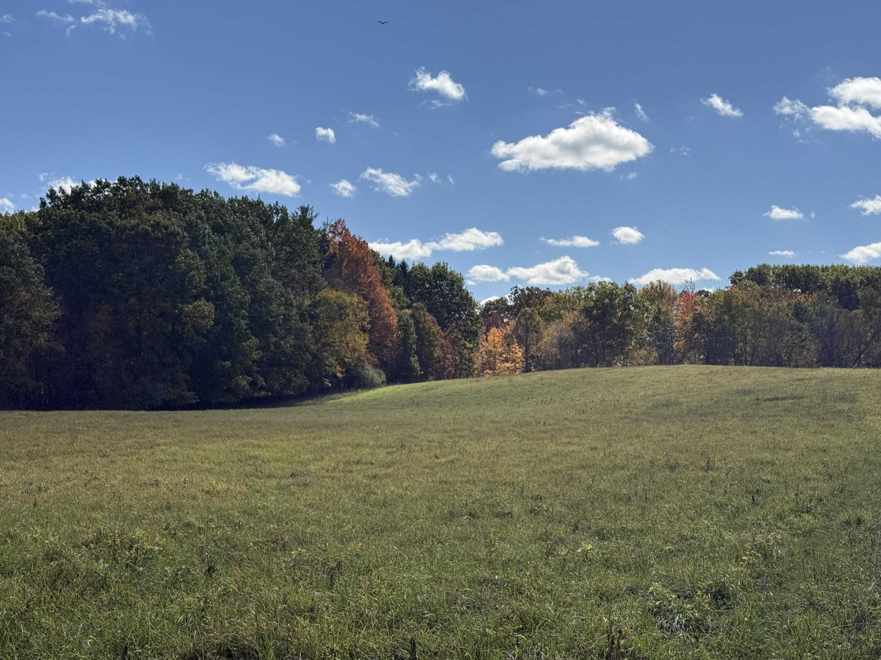 Tbd Tbd Bordman Road, Unit TBD Leonard, MI 48367 - Photo 22 of 40 1b