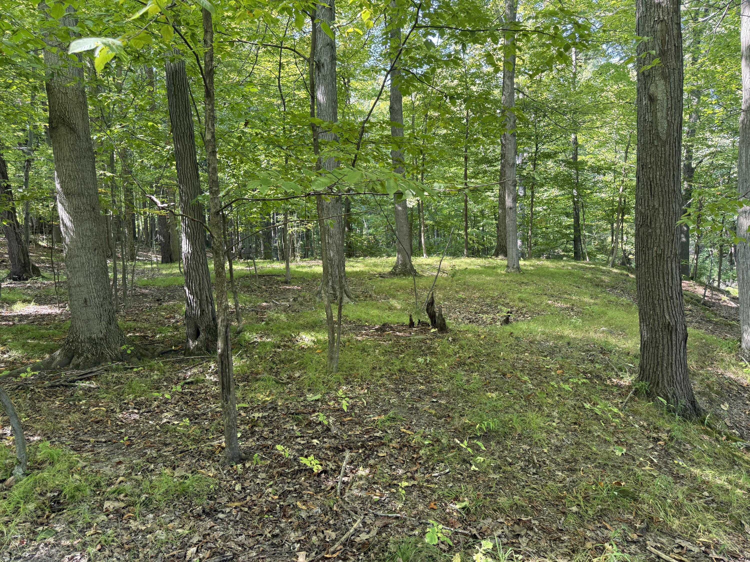 Tbd Tbd Bordman Road, Unit TBD Leonard, MI 48367 - Photo 25 of 40 o1