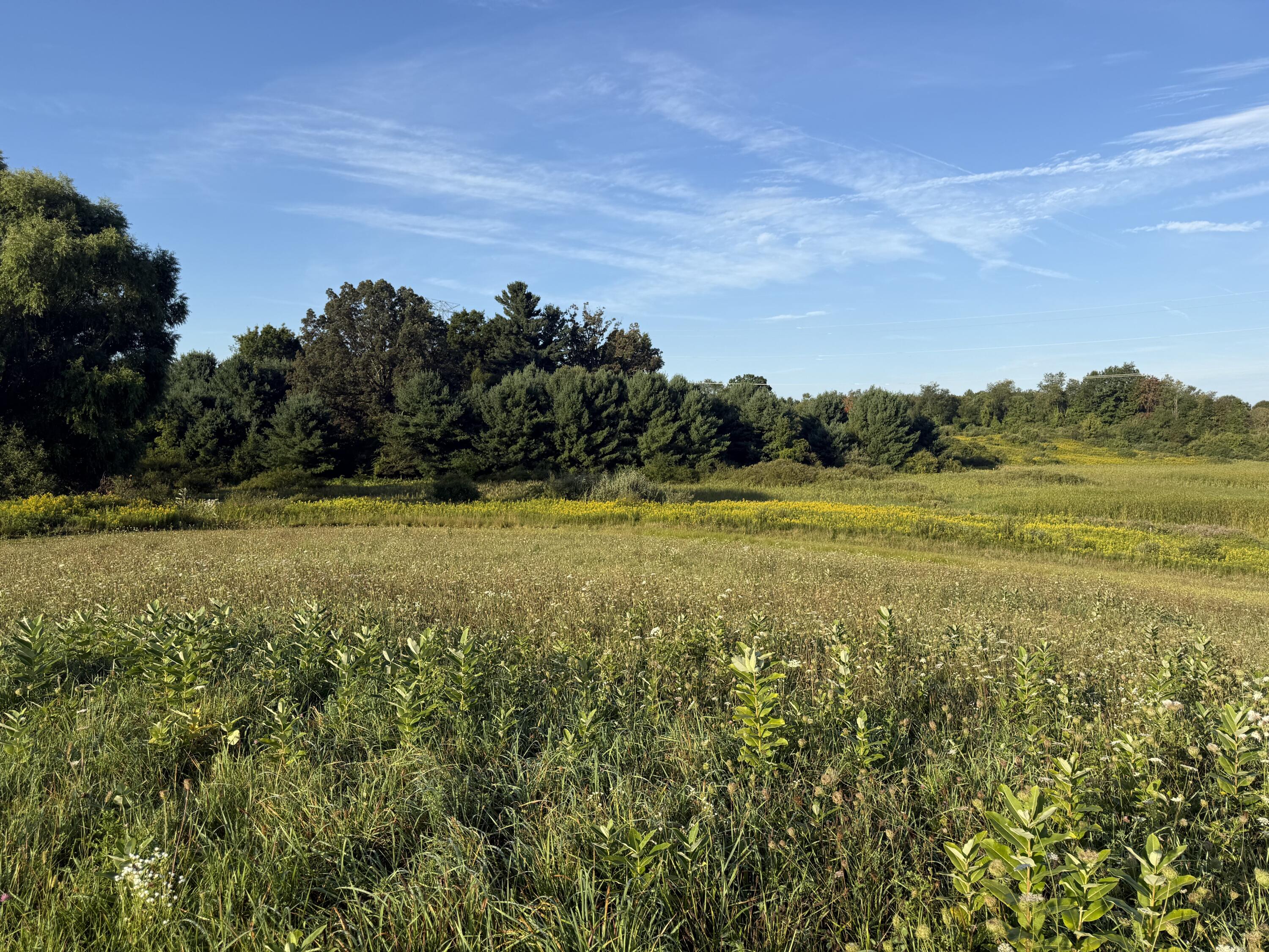 Tbd Tbd Bordman Road, Unit TBD Leonard, MI 48367 - Photo 28 of 40 B8