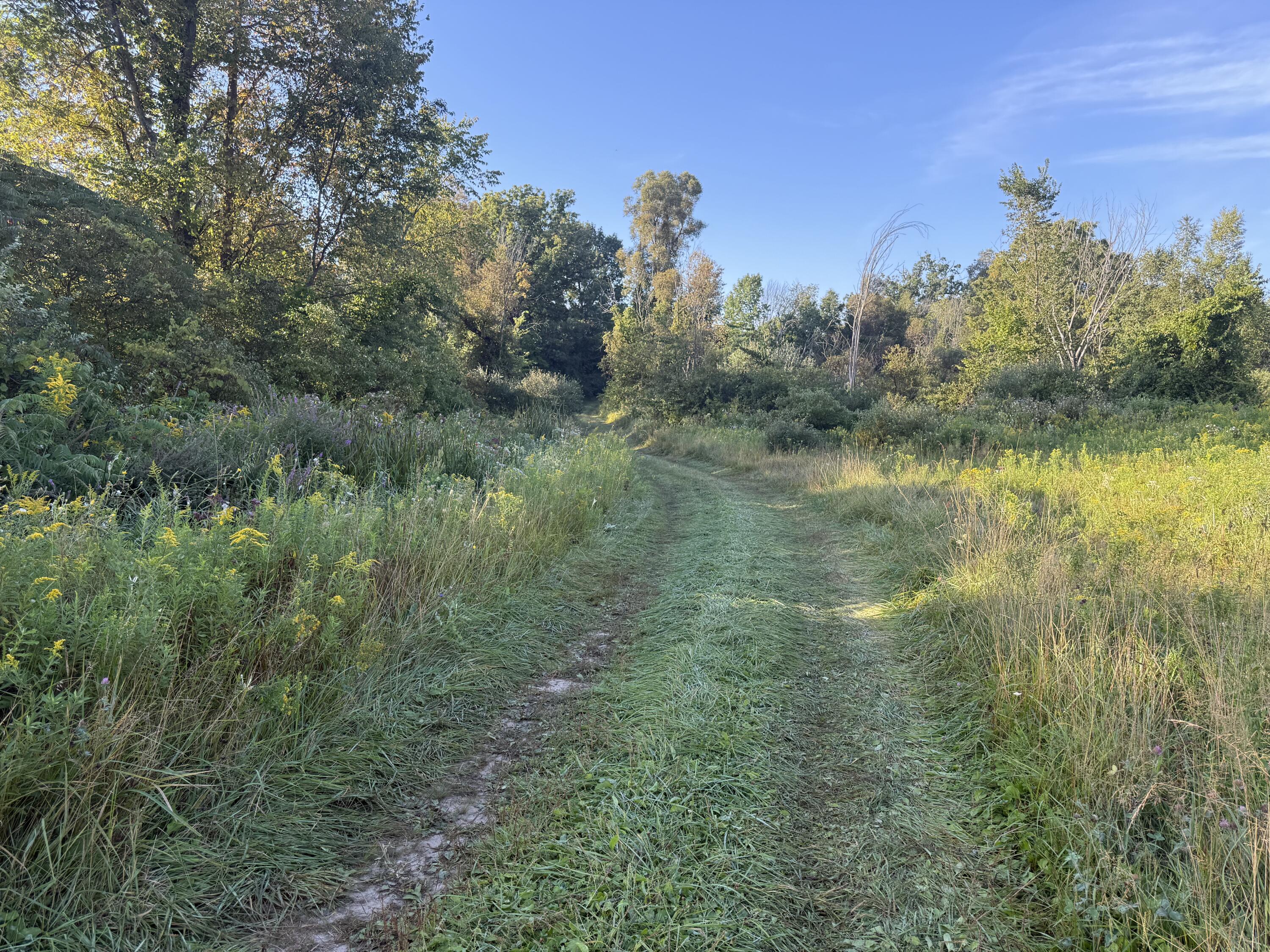 Tbd Tbd Bordman Road, Unit TBD Leonard, MI 48367 - Photo 29 of 40 B11