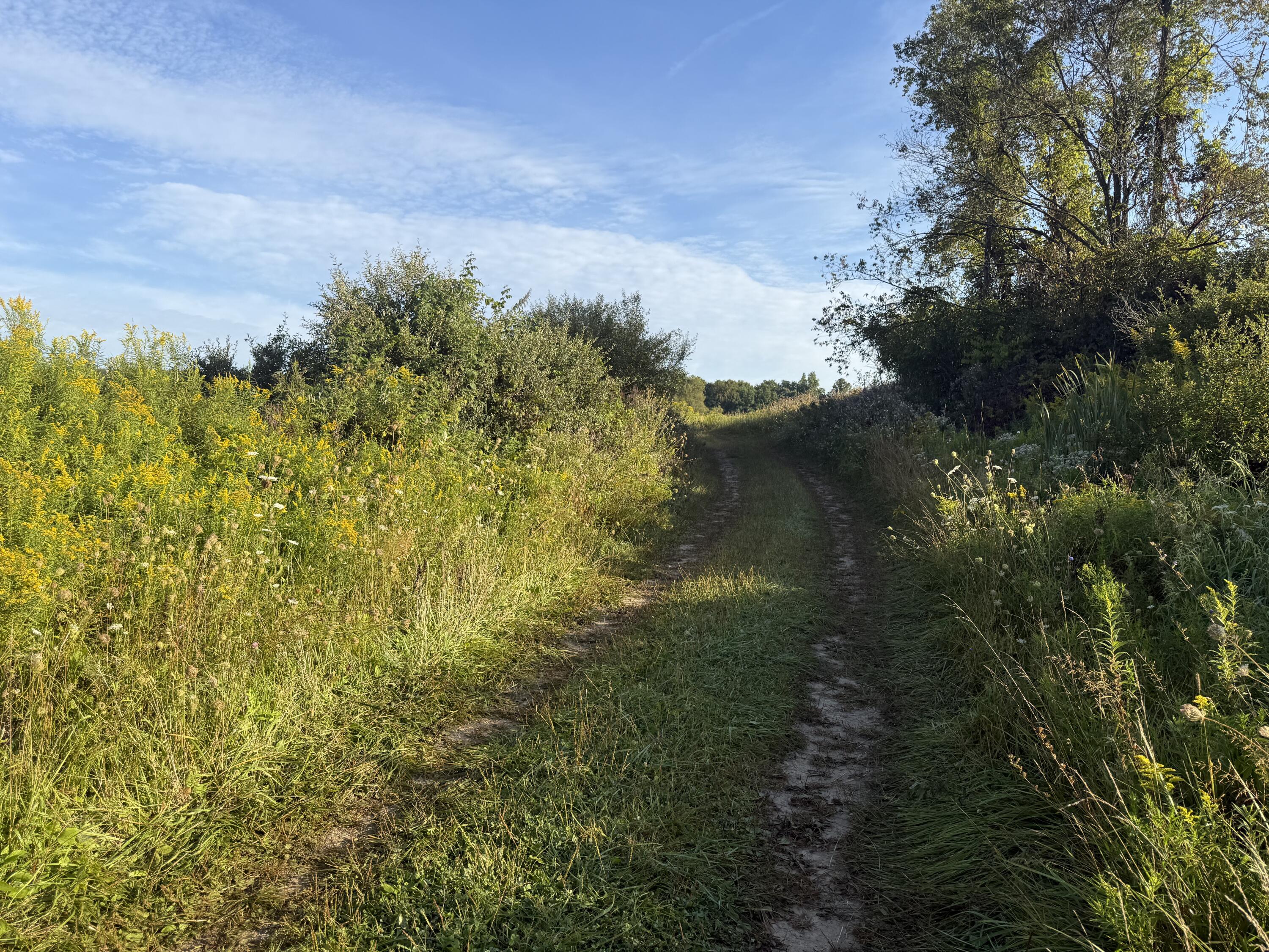 Tbd Tbd Bordman Road, Unit TBD Leonard, MI 48367 - Photo 30 of 40 B12
